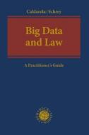 Big Data di CALDAROLA MARIA CRIS edito da Bloomsbury Publishing Plc