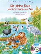 Die kleine Ente und ihre Freunde am See /m.CD di Friederun Reichenstetter, Hans-Günther Döring edito da Arena Verlag GmbH