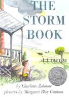 The Storm Book di Charlotte Zolotow edito da HARPERCOLLINS