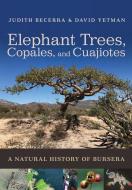 Elephant Trees, Copales, and Cuajiotes: A Natural History of Bursera di Judith X. Becerra, David Yetman edito da UNIV OF ARIZONA PR