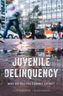 Juvenile Delinquency: Why Do Youths Commit Crime? di Cliff Roberson, Elena Azaola edito da ROWMAN & LITTLEFIELD