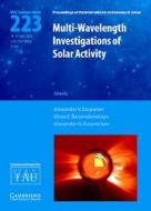 Multi-Wavelength Investigations of Solar Activity (IAU S223) di Alexander V. Stepanov edito da Cambridge University Press