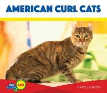American Curl Cats di Katie Lajiness edito da BIG BUDDY BOOKS