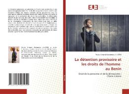 La détention provisoire et les droits de l'homme au Benin di Paulin Armand Akonassou Allotin edito da Éditions universitaires européennes