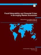 Fiscal Vulnerability And Financial Crises In Emerging Market Economies di Richard Hemming, Michael Kell, Axel Schimmelpfenning edito da International Monetary Fund (imf)