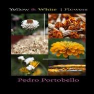 Yellow & White Flowers: Photo Album di Pedro Portobello edito da Createspace Independent Publishing Platform