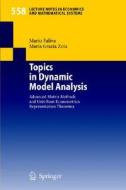 Topics in Dynamic Model Analysis: Advanced Matrix Methods and Unit-Root Econometrics Representation Theorems di Mario Faliva, Maria Grazia Zoia edito da Springer