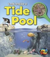 Look Inside a Tide Pool di Louise A. Spilsbury edito da HEINEMANN LIB