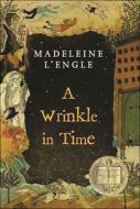 A Wrinkle in Time di Madeleine L'Engle edito da Perfection Learning