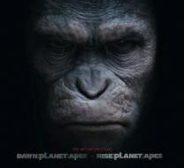 Planet of the Apes di Matt Hurwitz edito da Titan Books Ltd