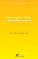 Droit congolais, africain et international du travail di Aubin N'Semy Mabanza edito da Editions L'Harmattan