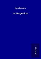 Im Morgenlicht di Hans Paasche edito da TP Verone Publishing