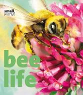 Bee Life di Lynette Evans edito da INSIGHT ED