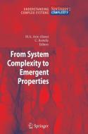 From System Complexity To Emergent Properties edito da Springer-verlag Berlin And Heidelberg Gmbh & Co. Kg