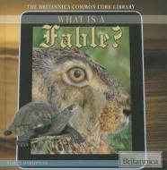 What Is a Fable? di Robyn Hardyman edito da Rosen Education Service