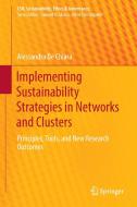 Implementing Sustainability Strategies in Networks and Clusters di Alessandra De Chiara edito da Springer International Publishing