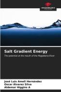 Salt Gradient Energy di José Luis Amell Hernández, Oscar Alvarez Silva, Aldemar Higgins A edito da Our Knowledge Publishing