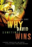 Why David Sometimes Wins di Marshall (Lecturer in Public Policy Ganz edito da Oxford University Press Inc