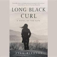Long Black Curl di Alex Bledsoe edito da Blackstone Audiobooks
