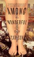 Among the Wonderful di Stacy Carlson edito da STEERFORTH PR