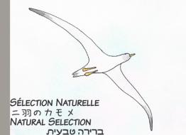 Natural Selection di Julien Chaplier edito da Books on Demand