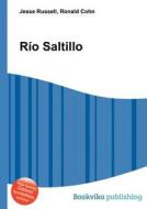 Rio Saltillo edito da Book On Demand Ltd.
