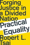 Practical Equality: Forging Justice in a Divided Nation di Robert Tsai edito da W W NORTON & CO