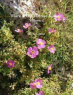 Flora of the Maltese Islands Volume 2 di Alex Casha edito da Lulu.com