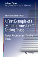 A First Example of a Lyotropic Smectic C* Analog Phase di Johanna. R Bruckner edito da Springer International Publishing