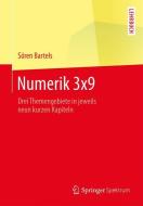 Numerik 3x9 di Sören Bartels edito da Springer-Verlag GmbH