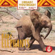 We Read about Baby Elephants di Amy Culliford, Madison Parker edito da I READ YOU READ