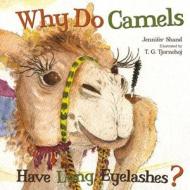 Why Do Camels Have Long Eyelashes? di Jennifer Shand edito da Flowerpot Press