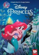 Disney Princess: Ariel and the Sea Wolf (Younger Readers Graphic Novel) di Liz Marsham edito da DARK HORSE COMICS