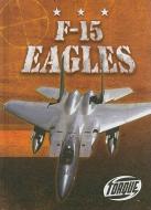 F-15 Eagles di Jack David edito da BELLWETHER MEDIA