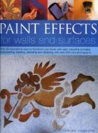 Paint Effects For Walls And Surfaces di Maggie Philo, Sacha Cohen edito da Anness Publishing