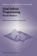 Semi-Infinite Programming edito da Springer US