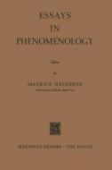 Essays in Phenomenology edito da Springer Netherlands