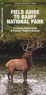 Banff National Park, Field Guide to: A Folding Pocket Guide to Familiar Species di James Kavanagh, Waterford Press edito da WATERFORD PR