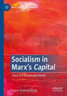 Socialism in Marx's Capital di Paresh Chattopadhyay edito da Springer International Publishing