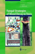 Fungal Strategies of Wood Decay in Trees di Julia Engels, Claus Mattheck, Francis W. M. R. Schwarze edito da Springer Berlin Heidelberg