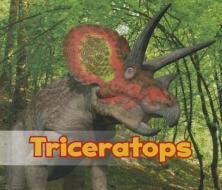Triceratops di Daniel Nunn edito da CAPSTONE PR