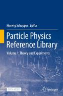 Particle Physics Reference Library edito da Springer International Publishing