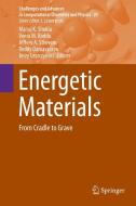 Energetic Materials edito da Springer-Verlag GmbH