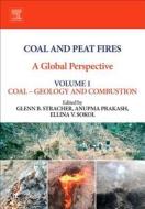 Coal and Peat Fires: A Global Perspective: Volume 1: Coal - Geology and Combustion edito da ELSEVIER SCIENCE PUB CO