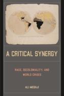 A Critical Synergy di Ali Meghji edito da Temple University Press,U.S.