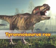 Tyrannosaurus Rex di Daniel Nunn edito da CAPSTONE PR