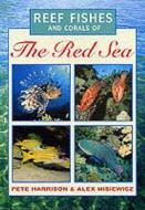 Reef Fishes And Corals Of The Red Sea di Peter Harrison, Alex Misiewicz edito da New Holland Publishers Ltd
