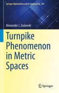 Turnpike Phenomenon in Metric Spaces di Alexander J. Zaslavski edito da Springer Nature Switzerland
