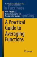 A Practical Guide to Averaging Functions di Gleb Beliakov, Humberto Bustince Sola, Tomasa Calvo edito da Springer International Publishing