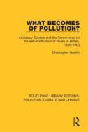 What Becomes Of Pollution? di Christopher Hamlin edito da Taylor & Francis Ltd